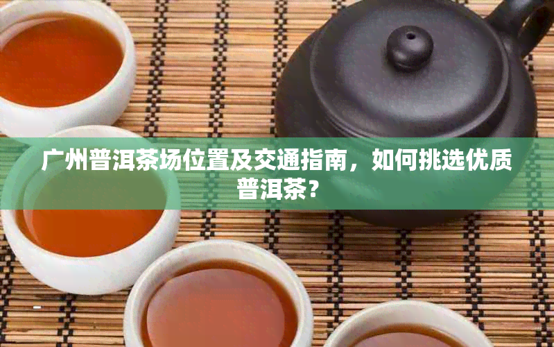 广州普洱茶场位置及交通指南，如何挑选优质普洱茶？