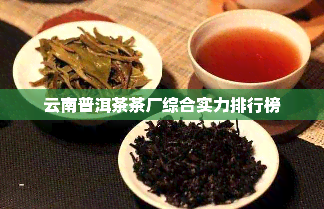 云南普洱茶茶厂综合实力排行榜