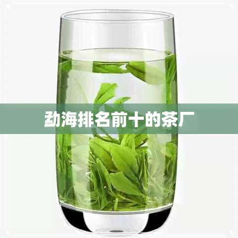 勐海排名前十的茶厂