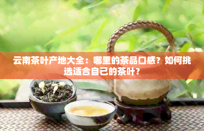 云南茶叶产地大全：哪里的茶品口感？如何挑选适合自己的茶叶？