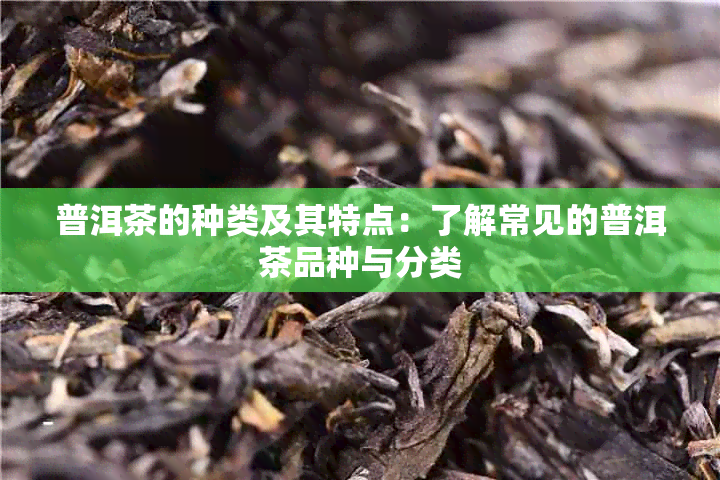 普洱茶的种类及其特点：了解常见的普洱茶品种与分类