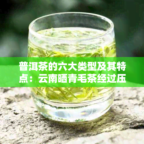 普洱茶的六大类型及其特点：云南晒青毛茶经过压制成为不同形态的紧压茶