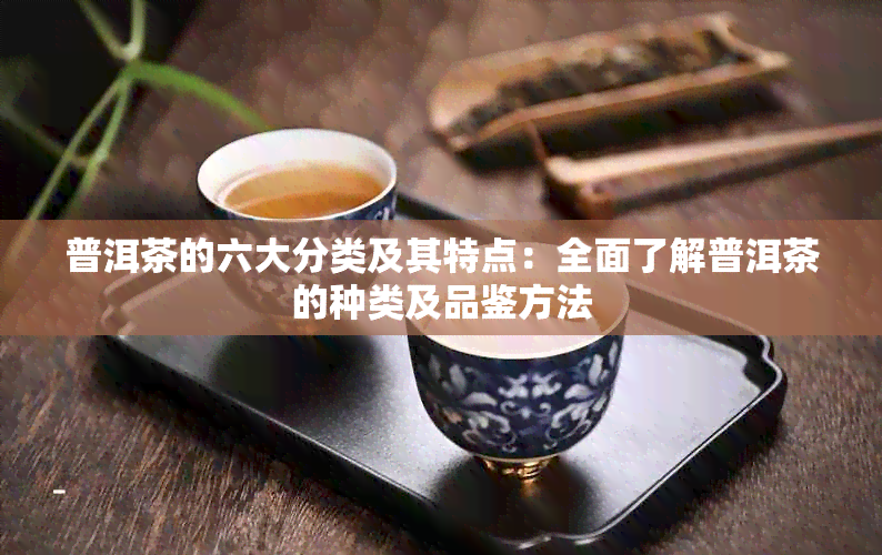 普洱茶的六大分类及其特点：全面了解普洱茶的种类及品鉴方法