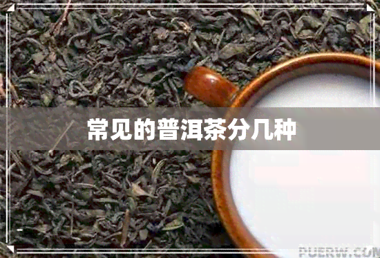 常见的普洱茶分几种