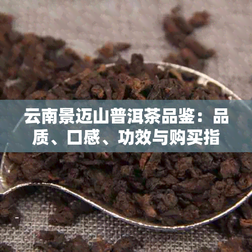 云南景迈山普洱茶品鉴：品质、口感、功效与购买指南，一文解答您的所有疑问