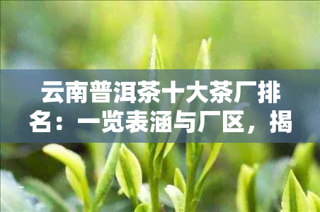 云南普洱茶十大茶厂排名：一览表涵与厂区，揭示行业领导者