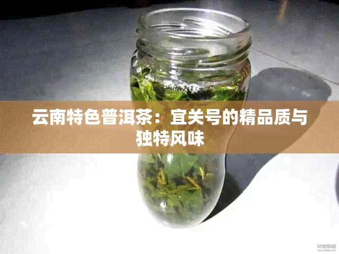 云南特色普洱茶：宜关号的精品质与独特风味