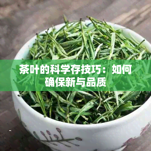 茶叶的科学存技巧：如何确保新与品质