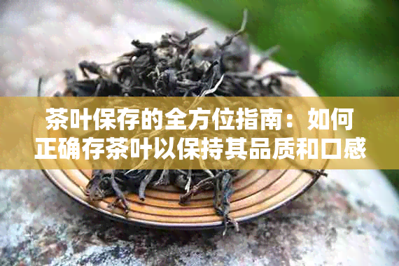 茶叶保存的全方位指南：如何正确存茶叶以保持其品质和口感