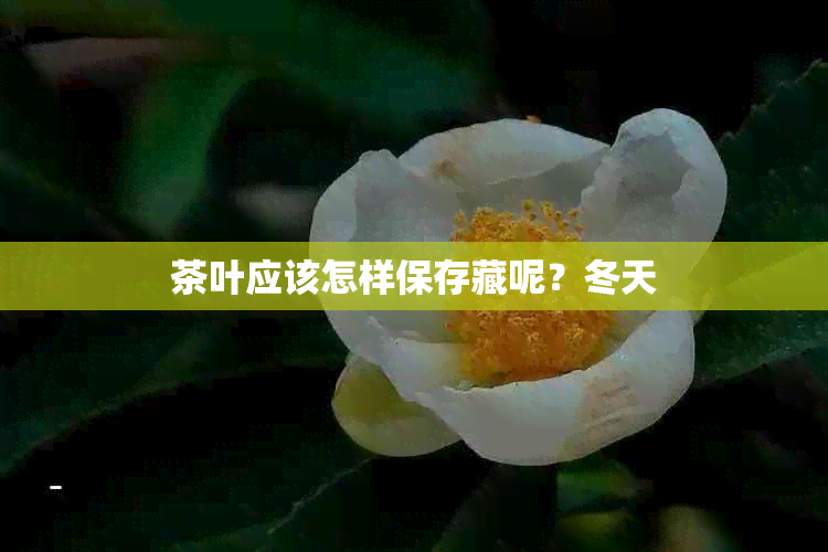 茶叶应该怎样保存藏呢？冬天