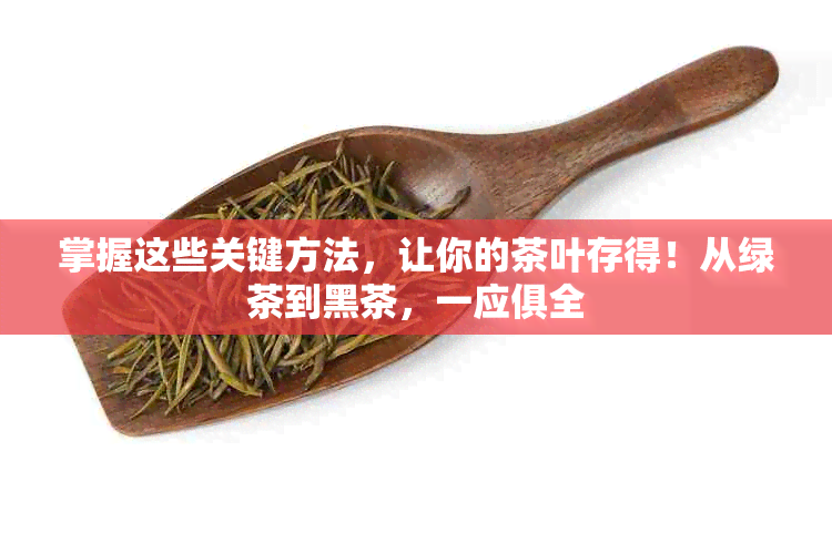 掌握这些关键方法，让你的茶叶存得！从绿茶到黑茶，一应俱全