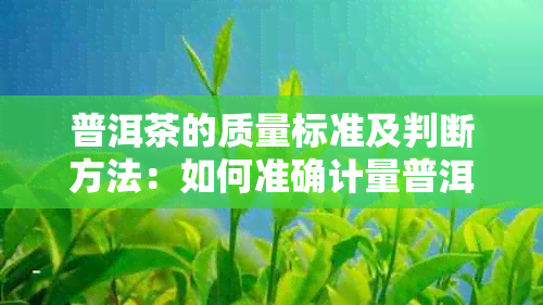 普洱茶的质量标准及判断方法：如何准确计量普洱茶的克重？