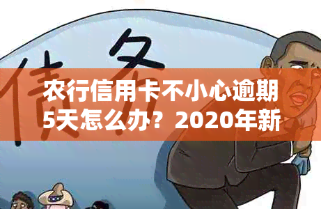 农行信用卡不小心逾期5天怎么办？2020年新法规解答