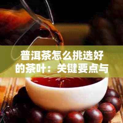 普洱茶怎么挑选好的茶叶：关键要点与选择方法