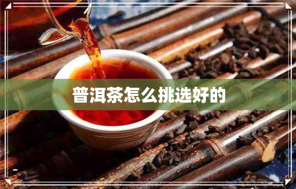 普洱茶怎么挑选好的