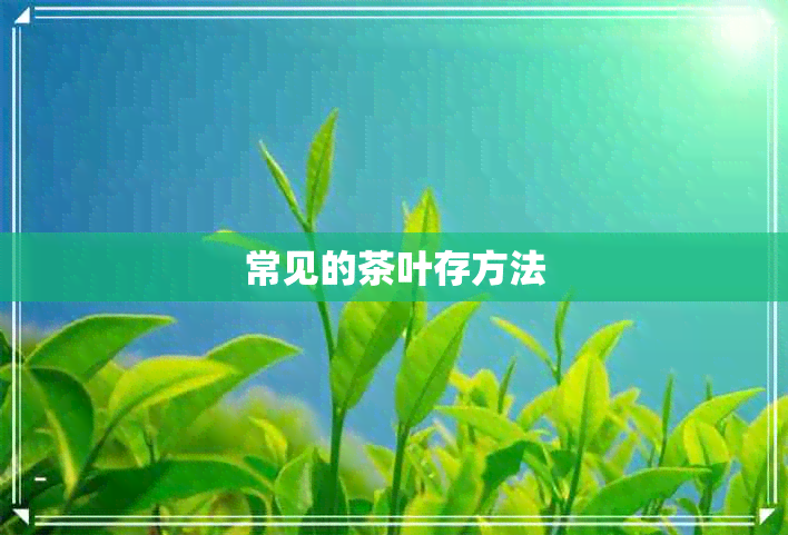 常见的茶叶存方法