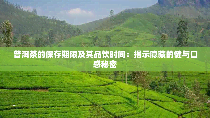 普洱茶的保存期限及其品饮时间：揭示隐藏的健与口感秘密