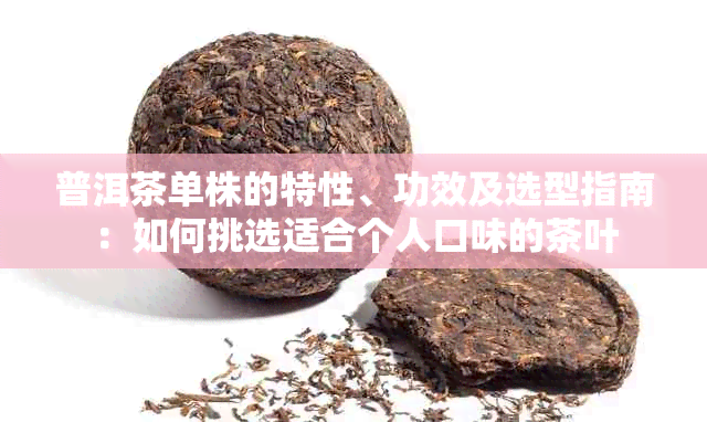 普洱茶单株的特性、功效及选型指南：如何挑选适合个人口味的茶叶