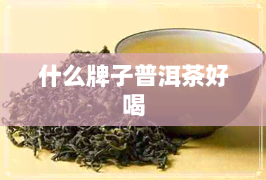 什么牌子普洱茶好喝