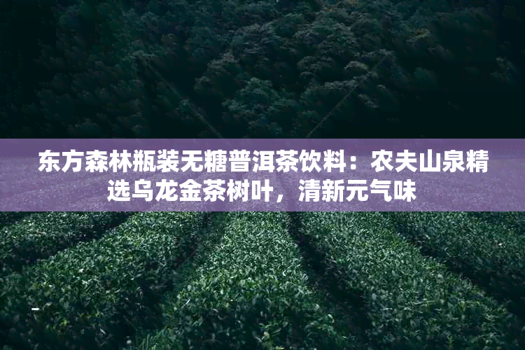 东方森林瓶装无糖普洱茶饮料：农夫山泉精选乌龙金茶树叶，清新元气味