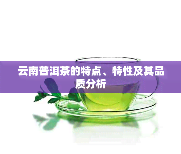 云南普洱茶的特点、特性及其品质分析