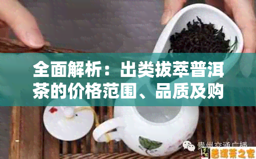 全面解析：出类拔萃普洱茶的价格范围、品质及购买建议