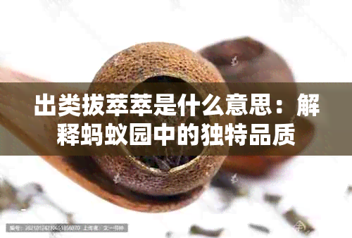 出类拔萃萃是什么意思：解释蚂蚁园中的独特品质