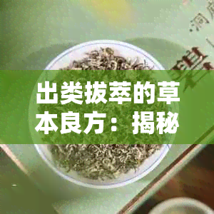 出类拔萃的草本良方：揭秘中的佼佼者