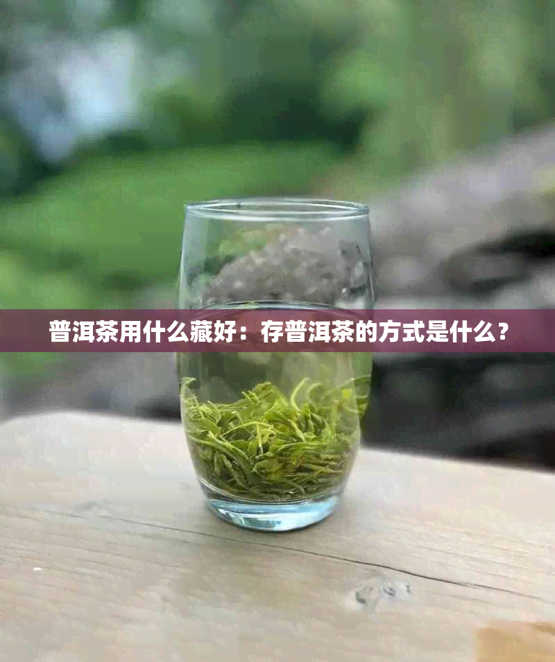 普洱茶用什么藏好：存普洱茶的方式是什么？