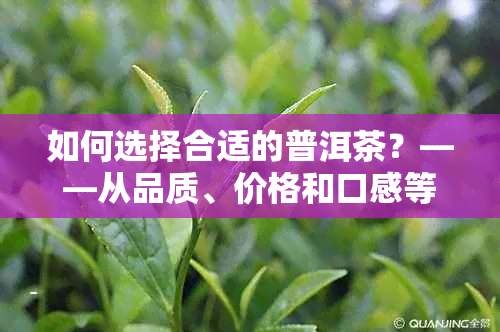 如何选择合适的普洱茶？——从品质、价格和口感等方面进行全面比较