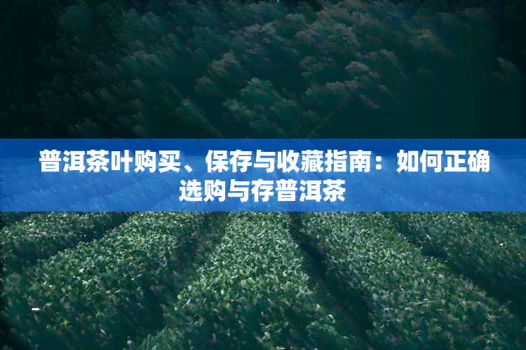 普洱茶叶购买、保存与收藏指南：如何正确选购与存普洱茶