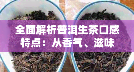 全面解析普洱生茶口感特点：从香气、滋味到回，一次满足你对好茶的期待