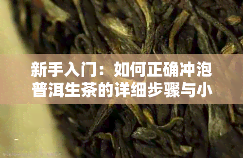 新手入门：如何正确冲泡普洱生茶的详细步骤与小贴士