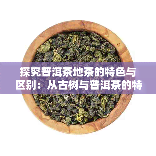 探究普洱茶地茶的特色与区别：从古树与普洱茶的特点说起