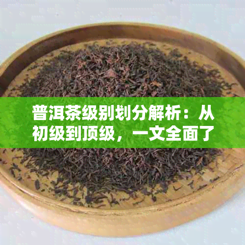 普洱茶级别划分解析：从初级到顶级，一文全面了解普洱茶的品质和价值