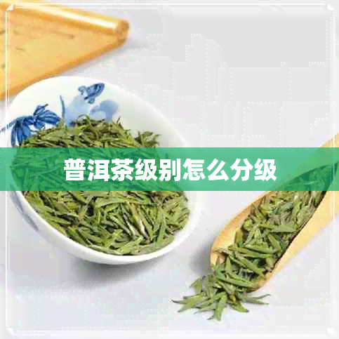 普洱茶级别怎么分级