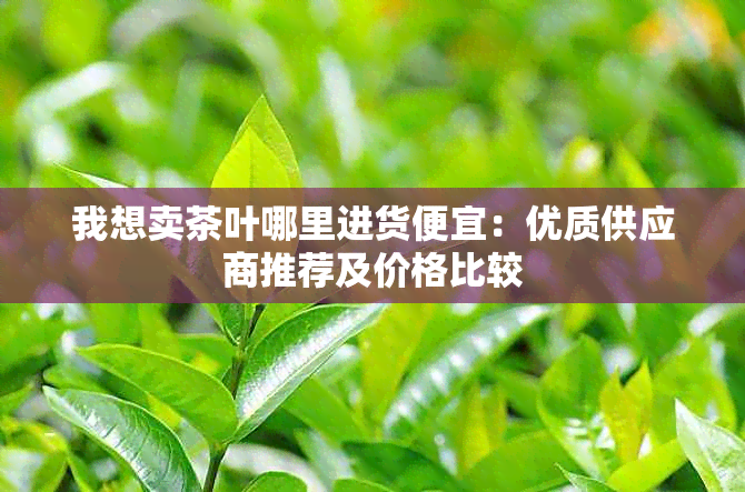 我想卖茶叶哪里进货便宜：优质供应商推荐及价格比较