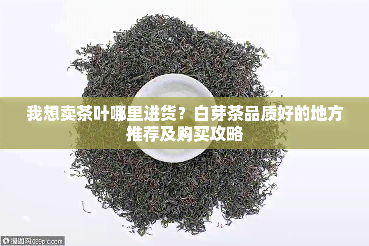 我想卖茶叶哪里进货？白芽茶品质好的地方推荐及购买攻略