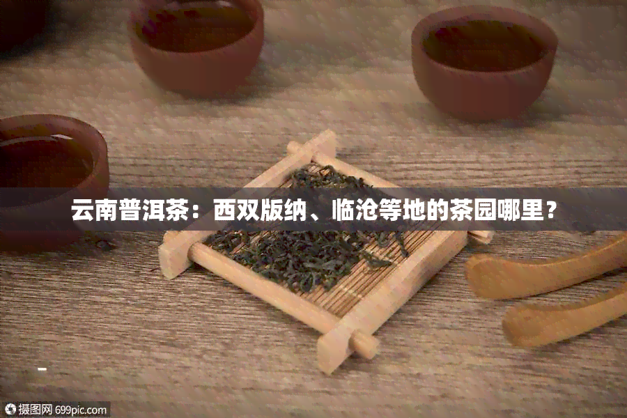 云南普洱茶：西双版纳、临沧等地的茶园哪里？