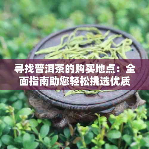 寻找普洱茶的购买地点：全面指南助您轻松挑选优质普洱茶