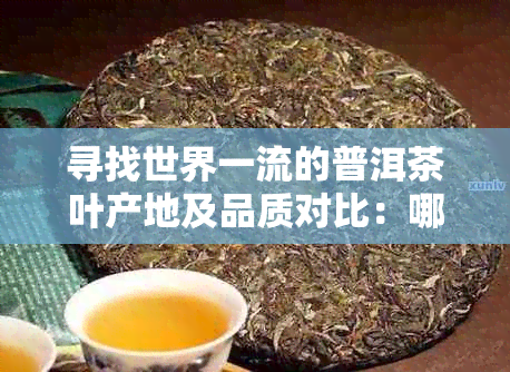 寻找世界一流的普洱茶叶产地及品质对比：哪里的普洱茶最值得品鉴？