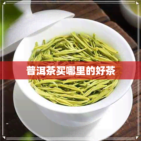 普洱茶买哪里的好茶