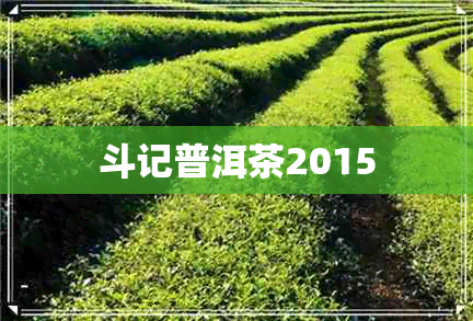 斗记普洱茶2015