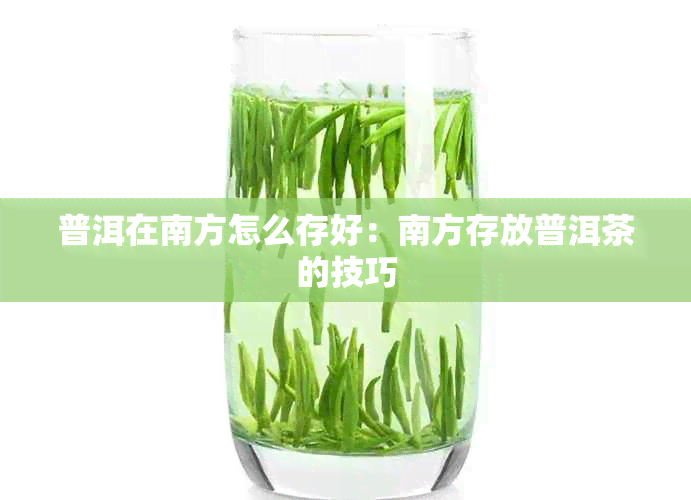 普洱在南方怎么存好：南方存放普洱茶的技巧