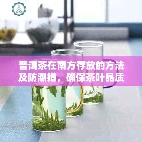 普洱茶在南方存放的方法及防潮措，确保茶叶品质不受影响