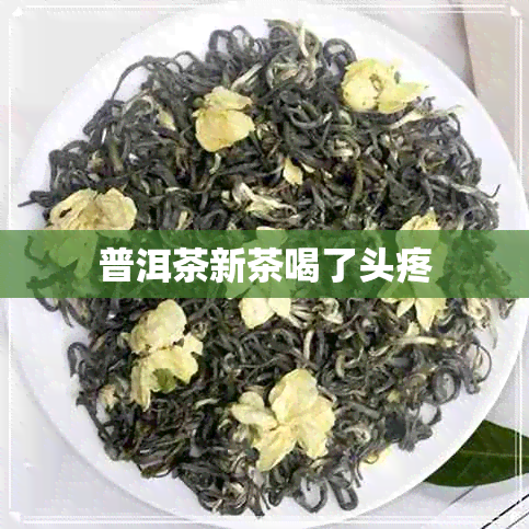 普洱茶新茶喝了头疼