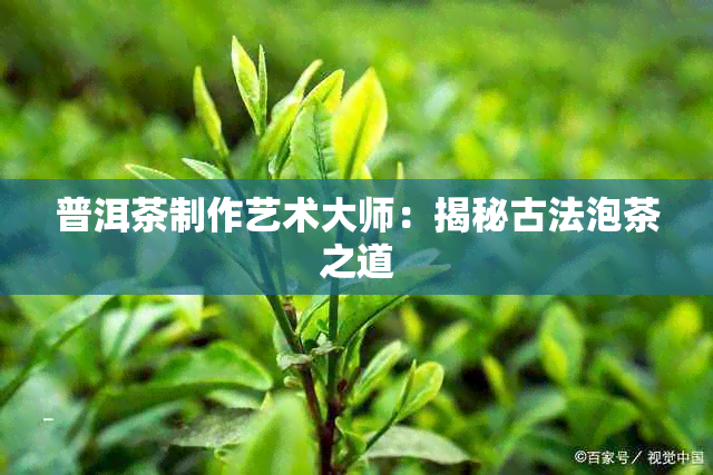 普洱茶制作艺术大师：揭秘古法泡茶之道