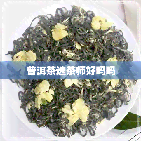 普洱茶选茶师好吗吗