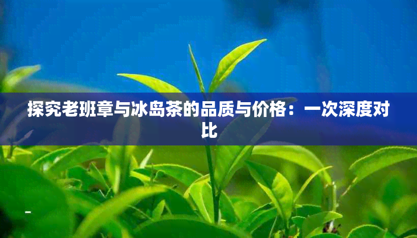 探究老班章与冰岛茶的品质与价格：一次深度对比