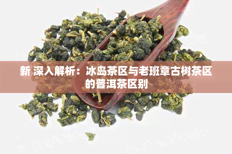 新 深入解析：冰岛茶区与老班章古树茶区的普洱茶区别